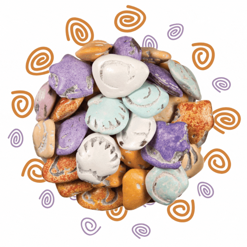 Chocolate Seashells