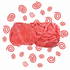 Gustaf's Licorice Laces, Sour Strawberry