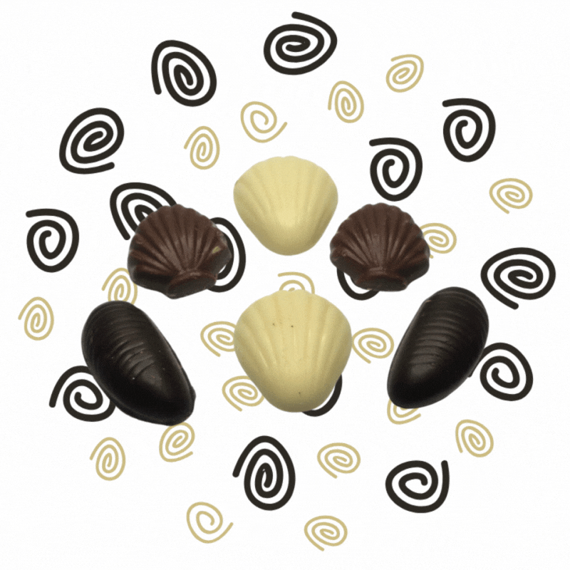 Shell Branded Candy Chocolate, Assorted Sea Shells – Rehoboth Candy Company, Inc.